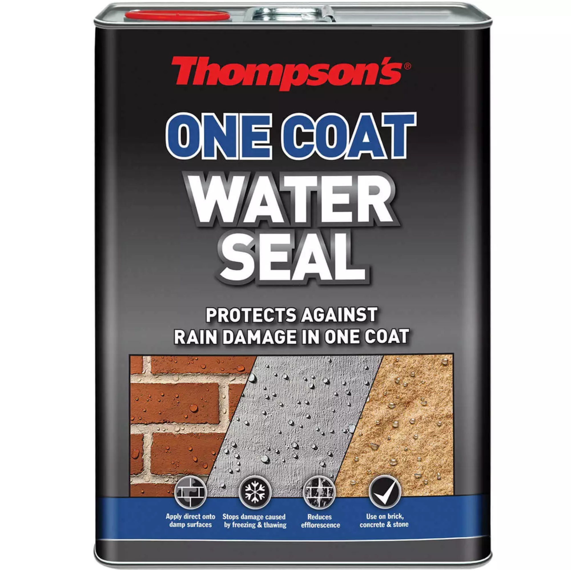 Thompson's One Coat Water Seal 5 litre